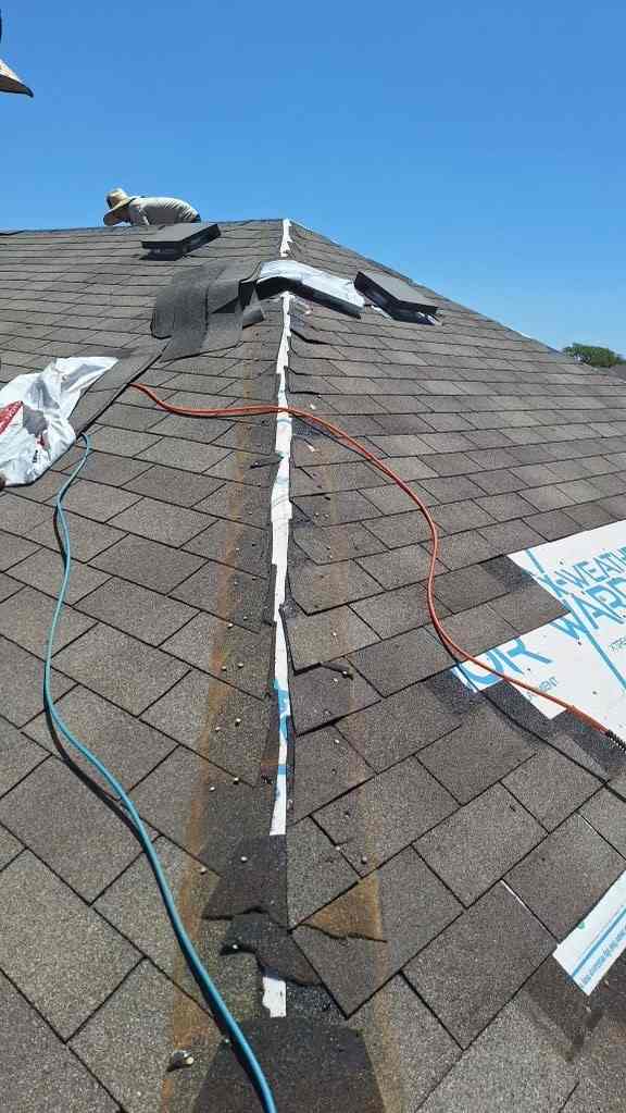 Shingle roof ridge with underlayment exposed during repair